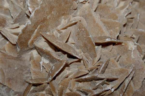 Sandrose